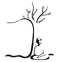 Introduzione alla Mindfulness